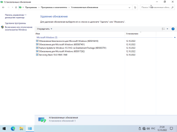 Windows 10 22H2 Rus